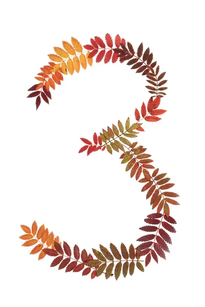 Numeral three 3 put from autumn sheet — Stock Photo, Image