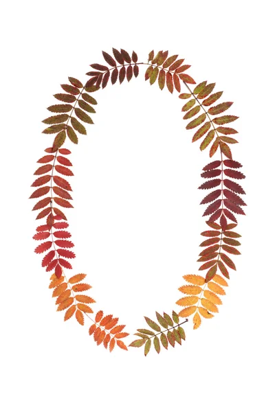 Ziffer Null 0 aus dem Herbstblatt — Stockfoto