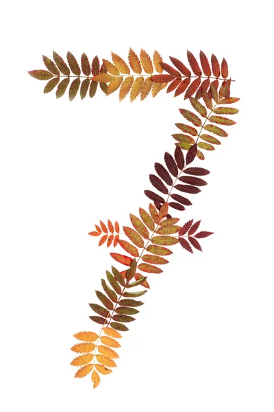 Número sete 7 colocado a partir da folha de outono — Fotografia de Stock