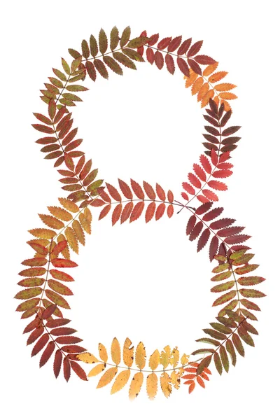 Numeral eight 8 put from autumn sheet — Stock Photo, Image