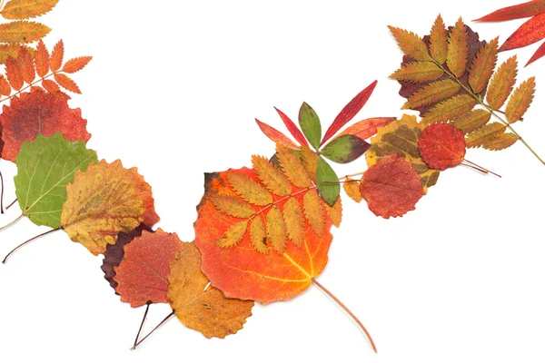 Hösten blad strödda i hög — Stockfoto