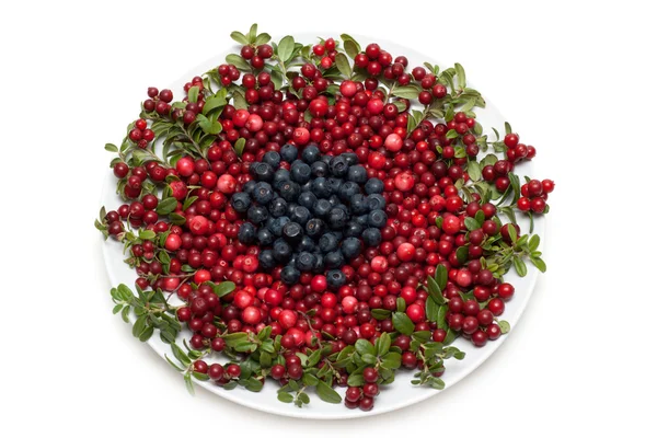 Cowberry and whortleberry on plate — Stock Photo, Image