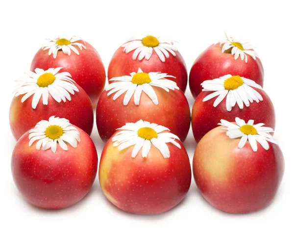 Äpple och daisywheels — Stockfoto