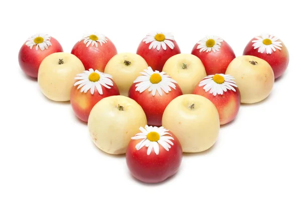 Äpfel und Gänseblümchen — Stockfoto