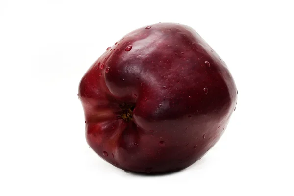 Červené jablko v dewdrop — Stock fotografie