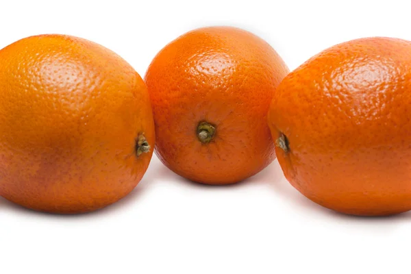 Três laranjas — Fotografia de Stock