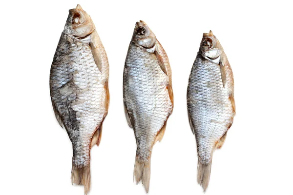 Sušené ryby — Stock fotografie