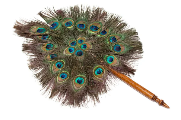 Veer from feather of the peacock — Stock Photo, Image