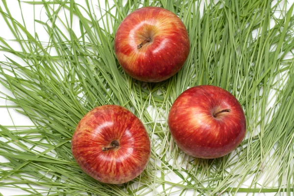 Três maçãs vermelhas, erva verde — Fotografia de Stock