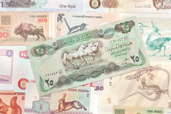 Сведения о банкнотах — стоковое фото