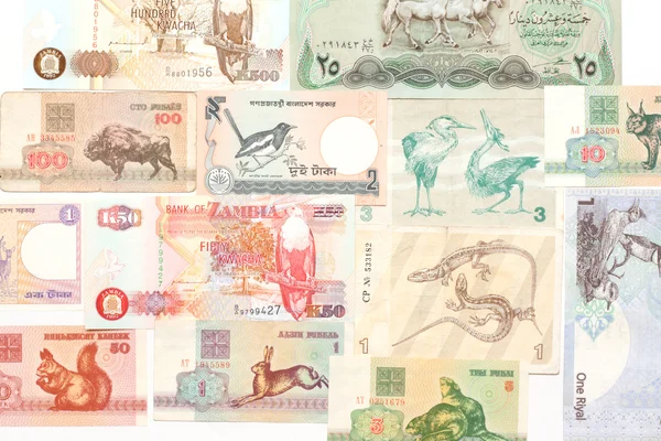 돈 지폐의 배경 — 스톡 사진