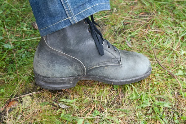 Zapato sobre hierba verde —  Fotos de Stock
