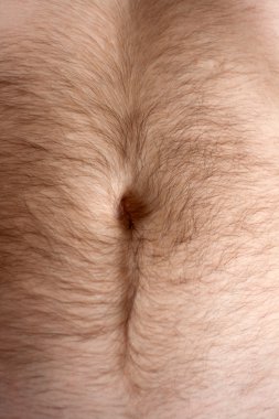 Male hairs belly, bellybutton clipart