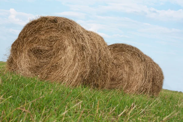 Two stack hay rolled
