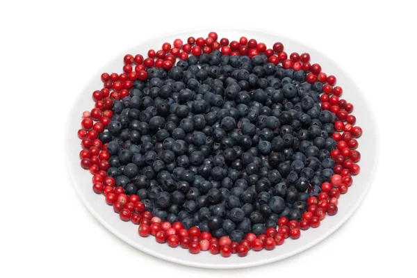 Whortleberry and cowberries — Stock Photo, Image