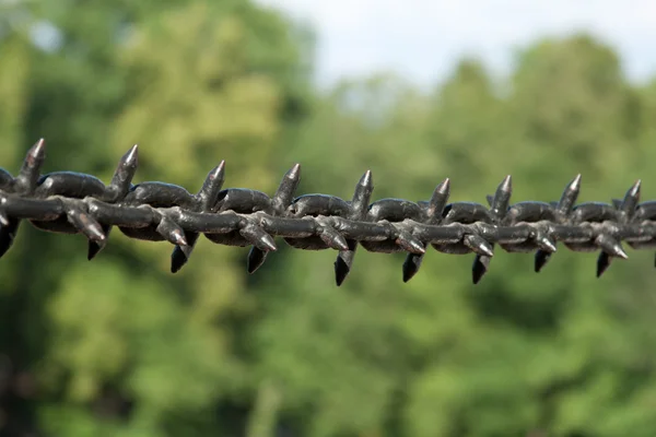 Chain with thorn — Stock Photo, Image