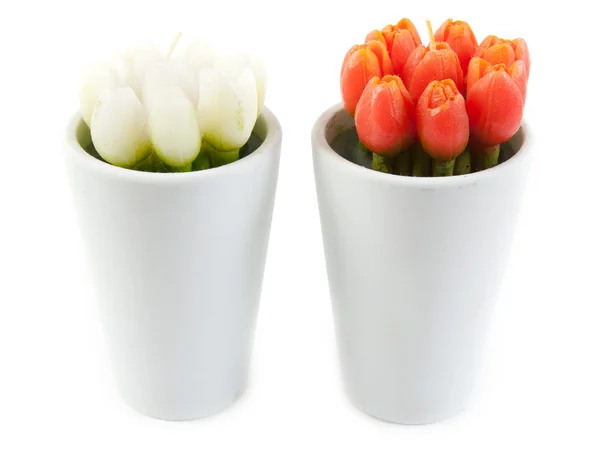 Two glass with tulip — Stock Photo, Image