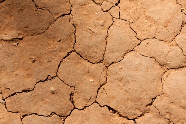 stock image Dry crackinged land Thailand