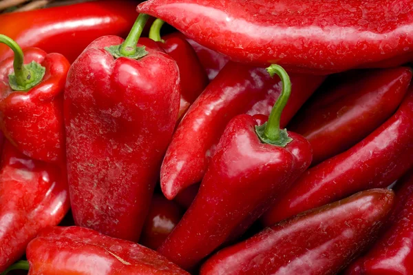 Organic red peppers — Stock Photo, Image