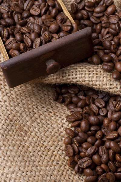 Koffie bonen in lade — Stockfoto