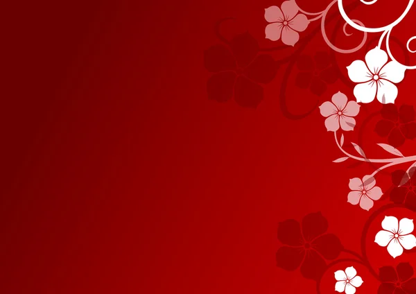 红色花卉背景 — 图库照片