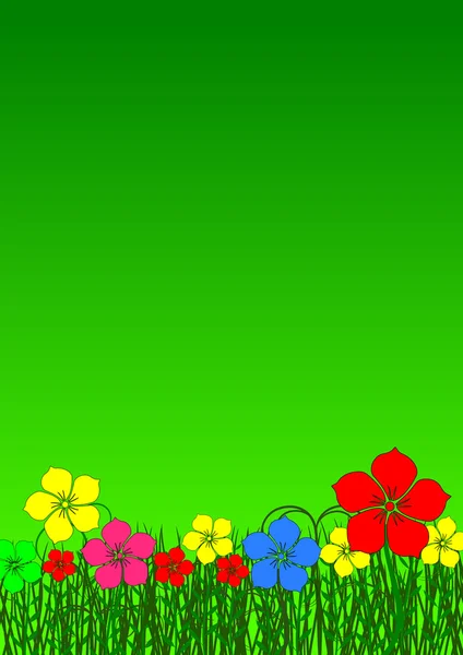 Zelené květinové pozadí — Stock fotografie