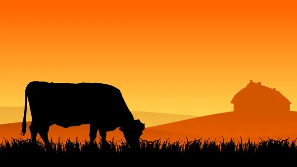 Kuh auf der Weide — Stockfoto