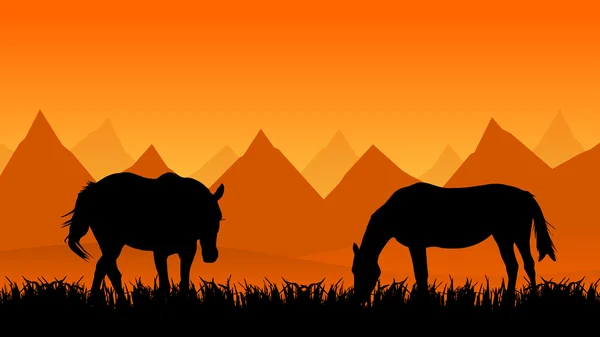 Két ló a legelőn — Stock Fotó