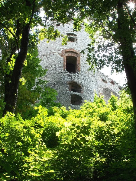 Ancien château en ruine — Photo
