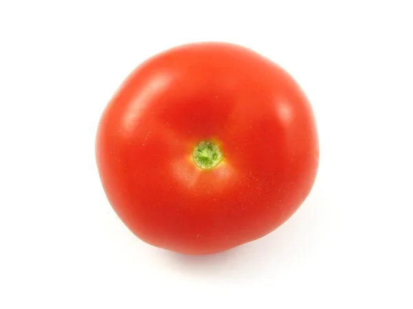 stock image Red tomato isolated in studio