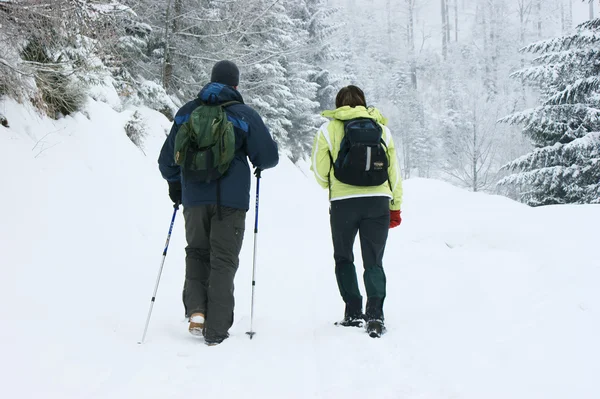 stock image Walk in winter