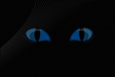 kedi gözleri karanlıkta