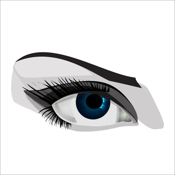 Kvinna öga — Stock vektor