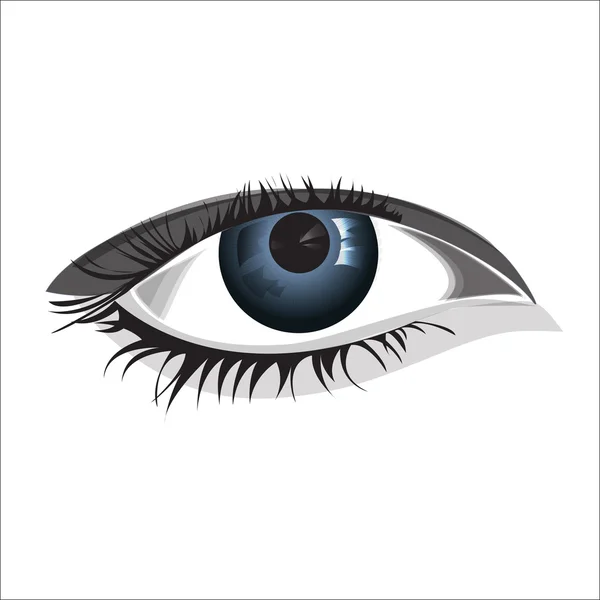 Woman eye — Stock Vector