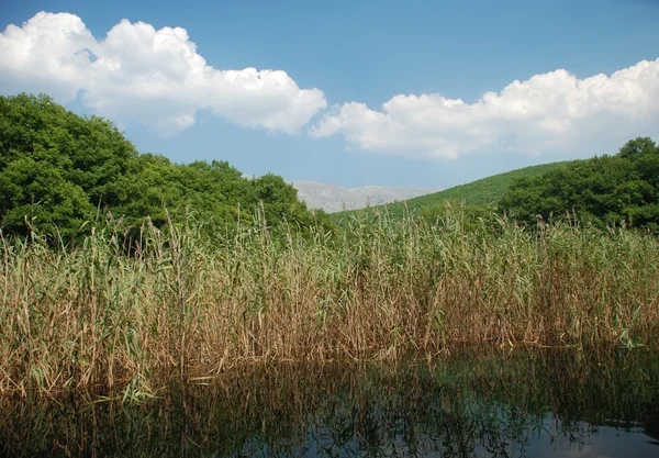 stock image St. Naum springs