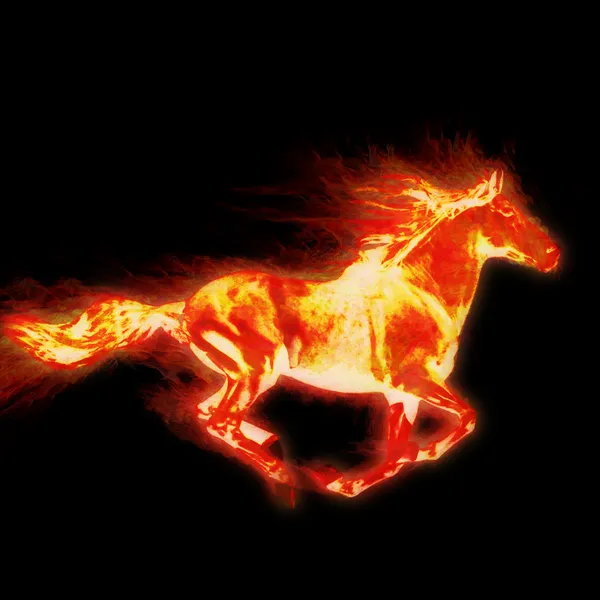 Feuerhengst. Pferd — Stockfoto