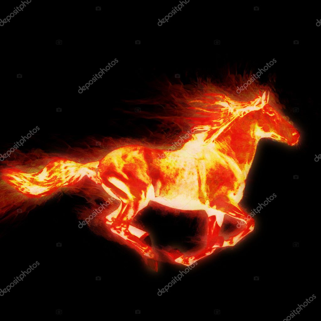 Un semental ardiente. Caballo. — Foto de stock #2268159 © averych, image size:1024x1024