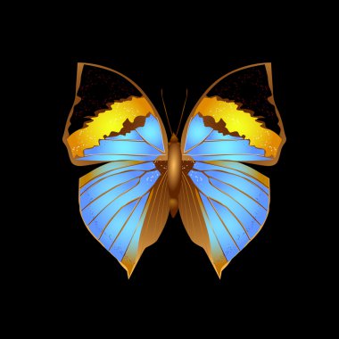 Butterfly clipart