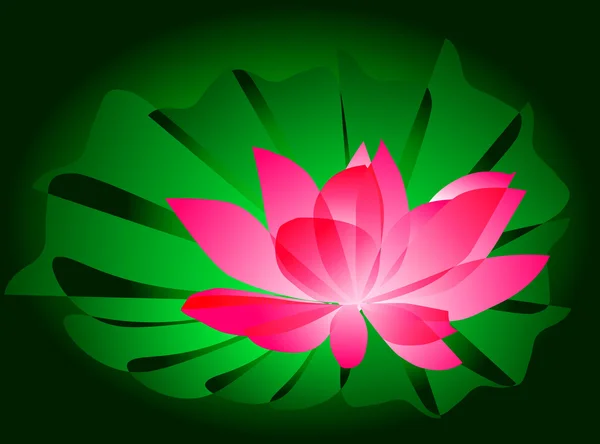 Διάνυσμα lotus — Διανυσματικό Αρχείο