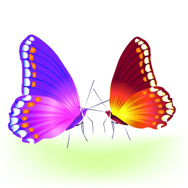 Vector mariposa — Vector de stock
