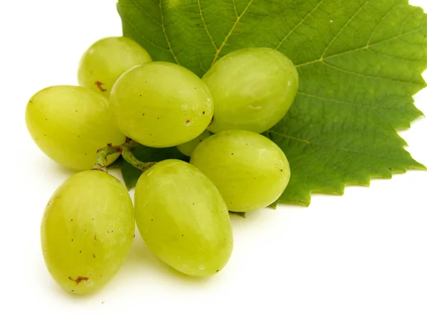 Druiven — Stockfoto