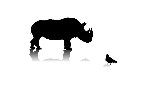 Nosorožci a holubice — Stockový vektor