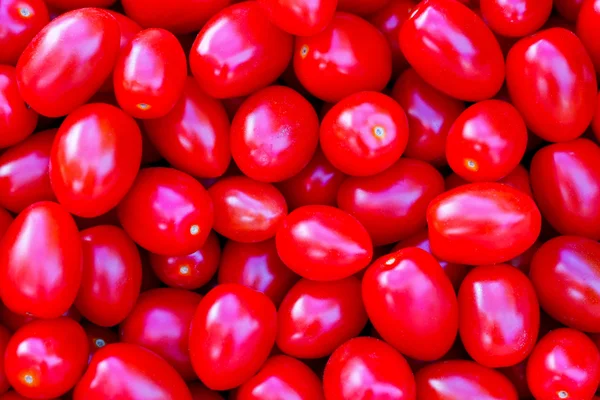 Baby tomatoes — Stock Photo, Image