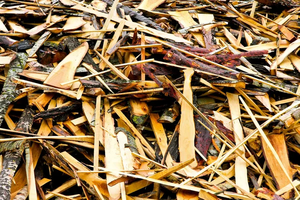 Resíduos de madeira — Fotografia de Stock