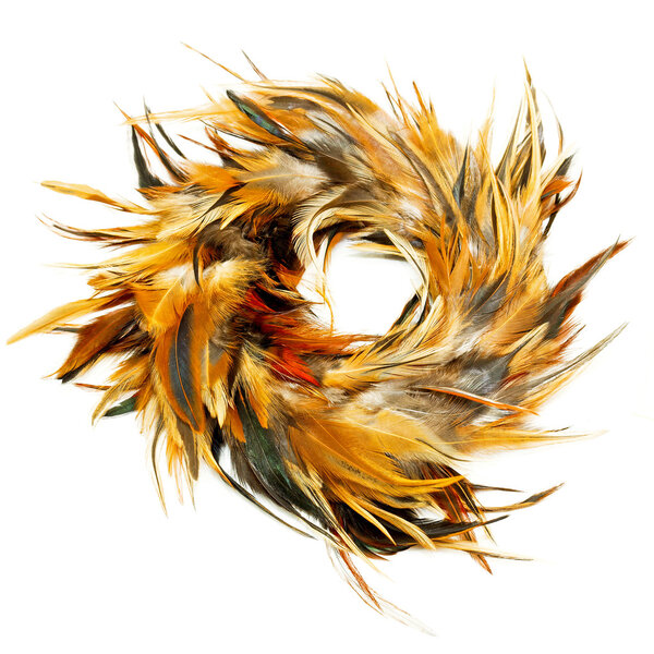 Feather