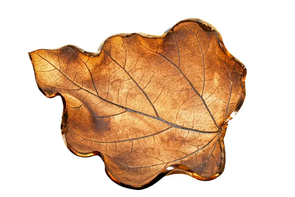 세라믹 잎 — 스톡 사진