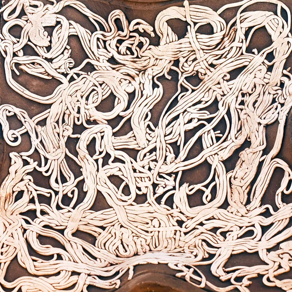Spaghetti astratti — Foto Stock