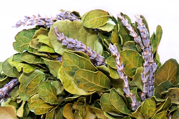 Lavender wreath — Stock Photo, Image