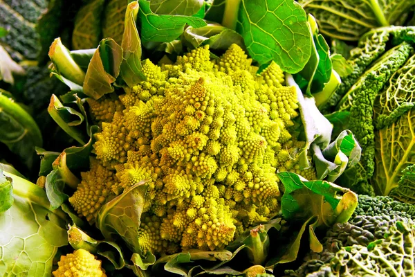 Románský brokolice — Stock fotografie