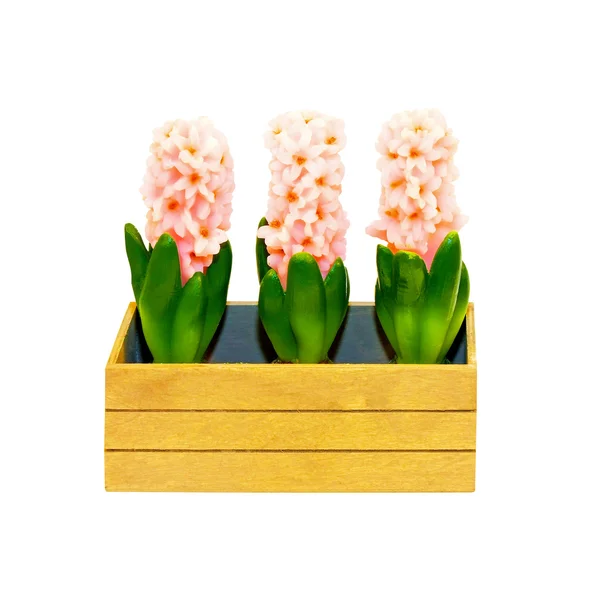 Tres flores — Foto de Stock